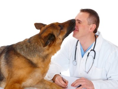 Help with high veterinary bills