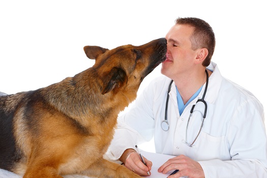 Vet with dog