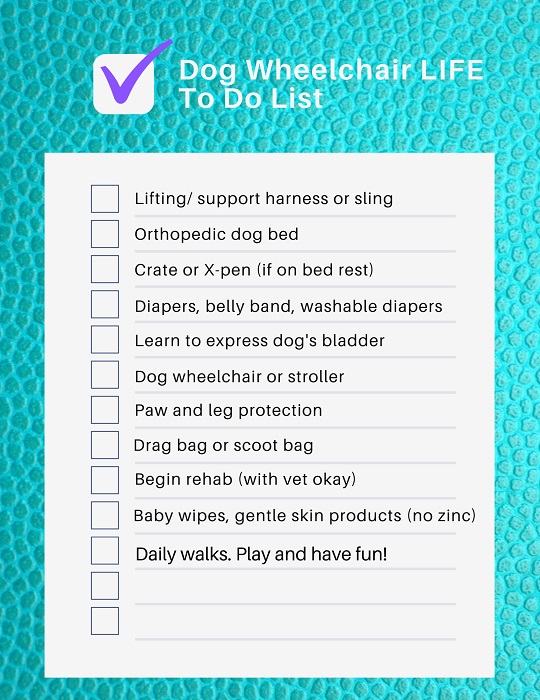 To Do List for paralyzed dogs