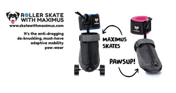 Skate-with-maximus-logo-600x319
