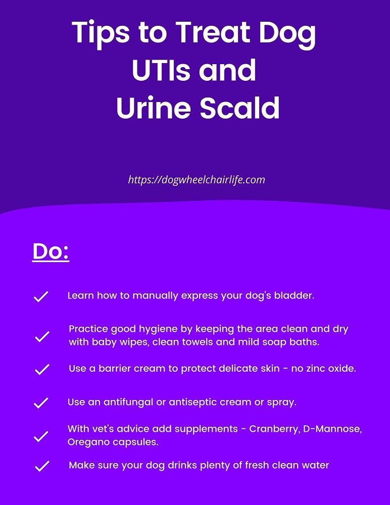 UTI-and-Urine-Scald-Flyer