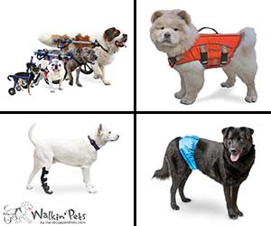 walkin-all-pet-products[1]