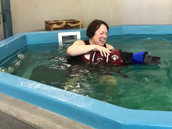 Hydrotherapy therapist working with a dog in water therapy