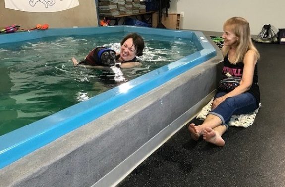 Dog in hydrotherapy pool with therapist