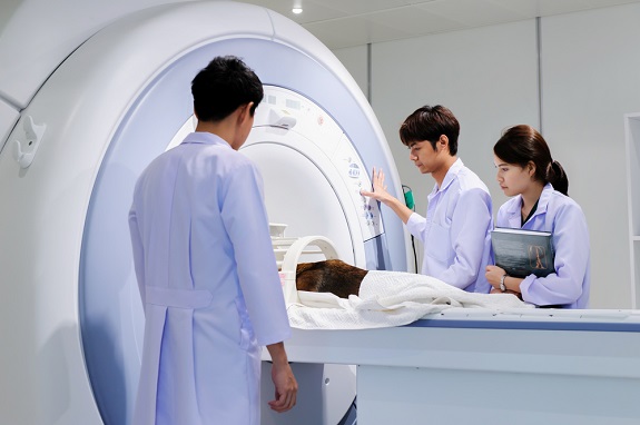 Dog going into an MRI machine.