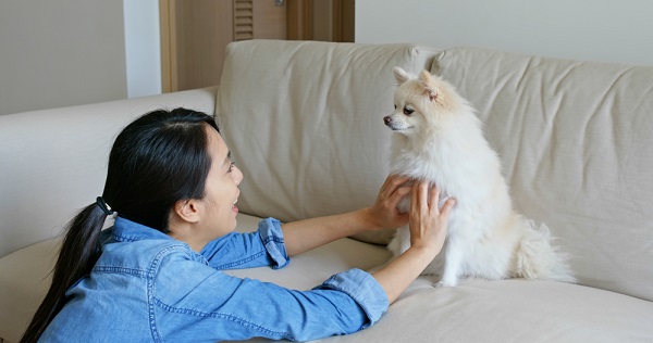 Woman popping in on dog during work