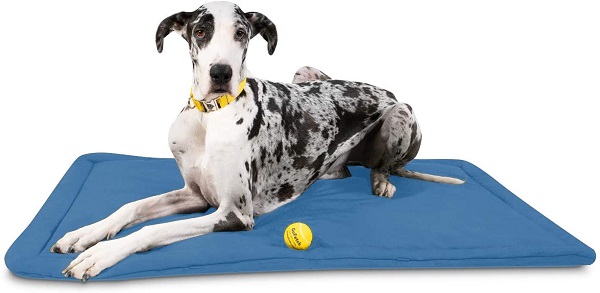 Dog beds hotsell for incontinent dogs