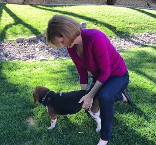 Woman expressing a dog's bladder