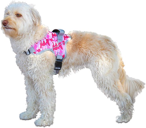 Harness for dog wheelchair