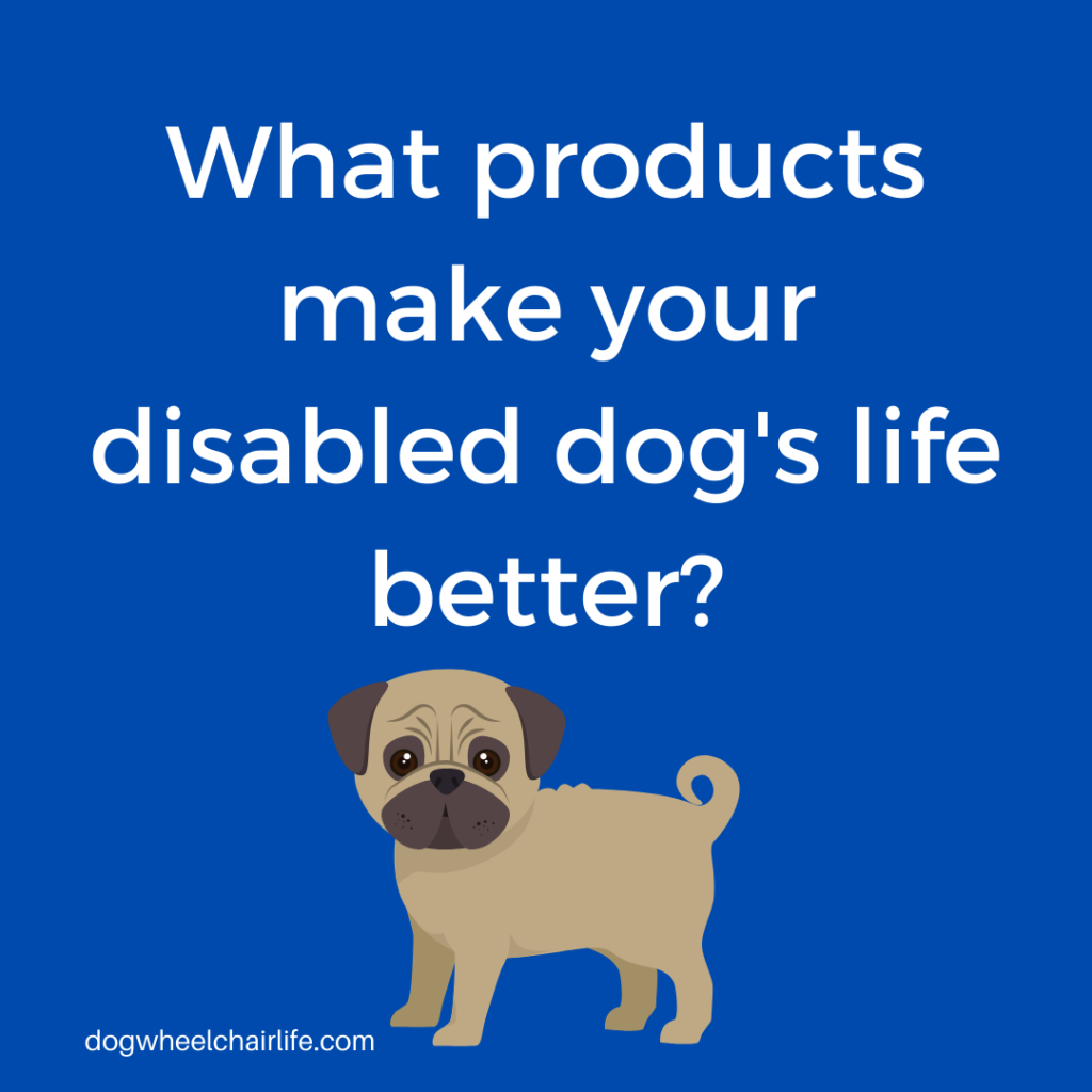 Products that make your disabled dog's life better