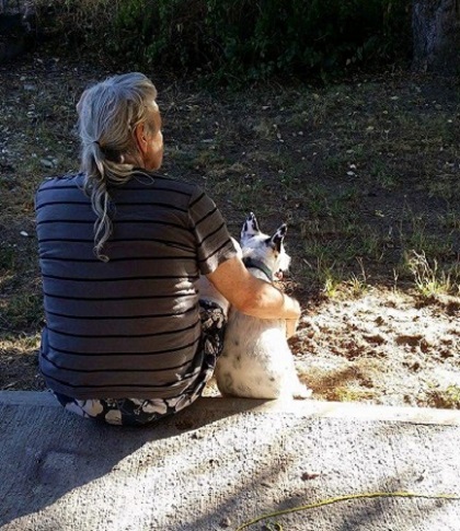 Paralyzed dog sitting with her new owner