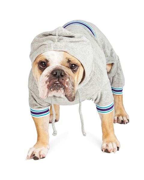 Bulldog wearing a hooded baby onesie