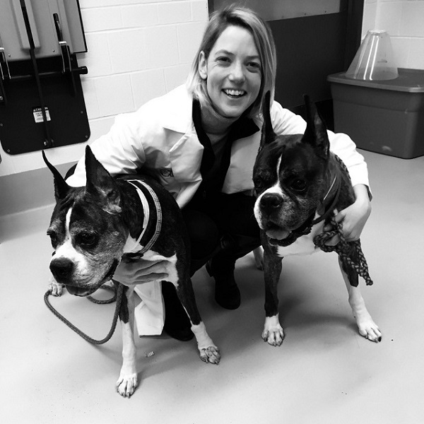 Dr. Phillipa J. Johnson's advanced imaging study for dogs with Degenerative Myelopathy