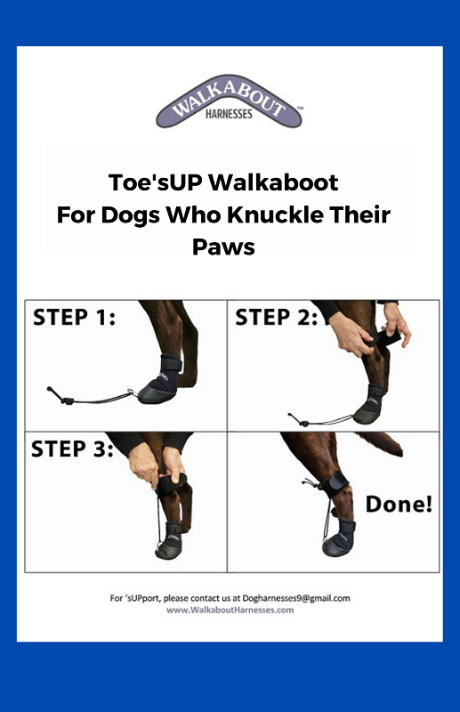 Toe Up Walkaboot For Dogs Who Knuckle Their Paws