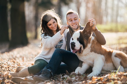 Young couple with dog for Valentine's Day