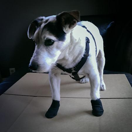 Orthopedic & Non Slip Dog Boots For Injuries, Arthritis, Dragging