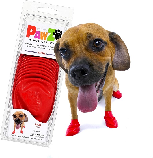 Dog wearing PAWZ for traction
