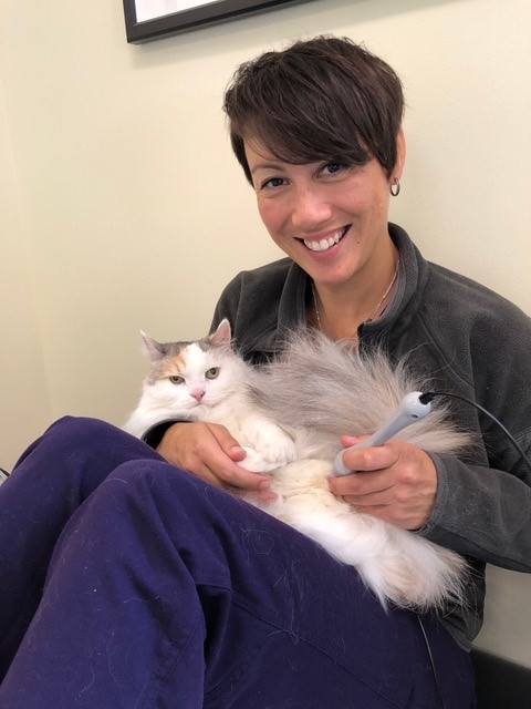 Dr. Jenny Moe and a feline patient