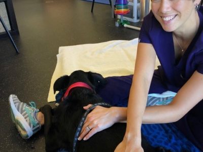 Dr. Jenny Moe with a canine patient