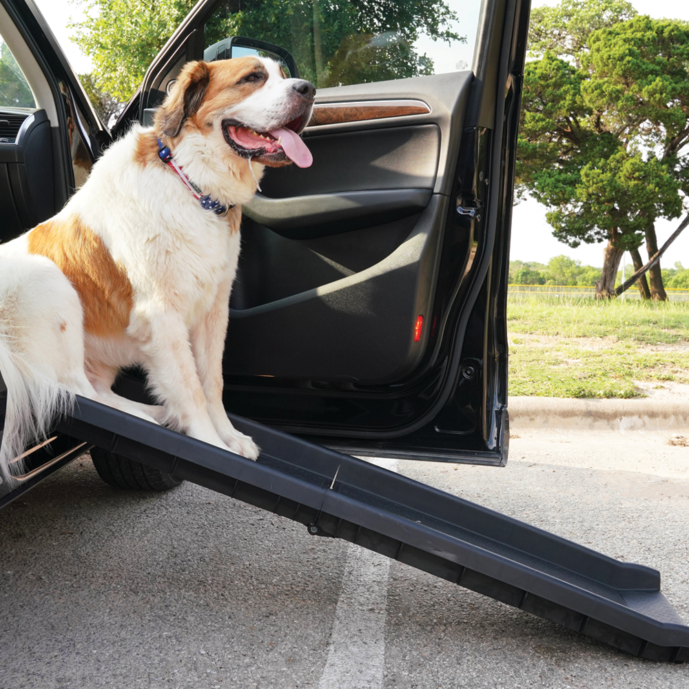 Dog sitting on the Car Ramp for dogs from Alpha Paw