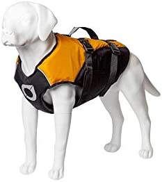 Stunt Puppy dog life jacket