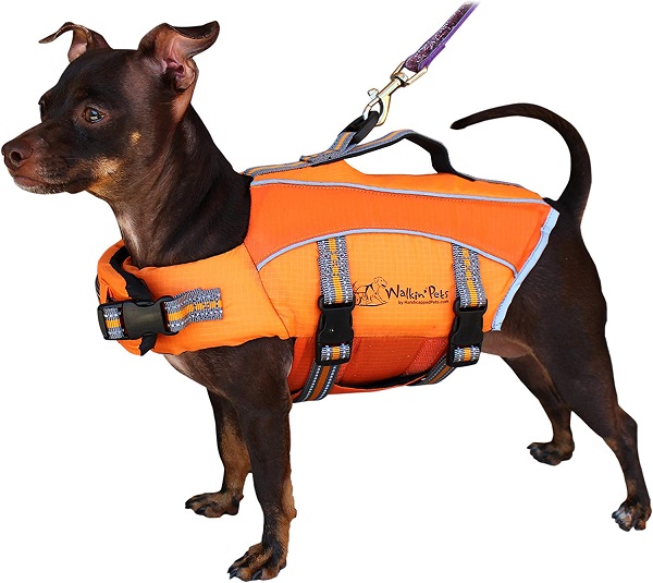 Dog wearing the Walkin' Pet life jacket