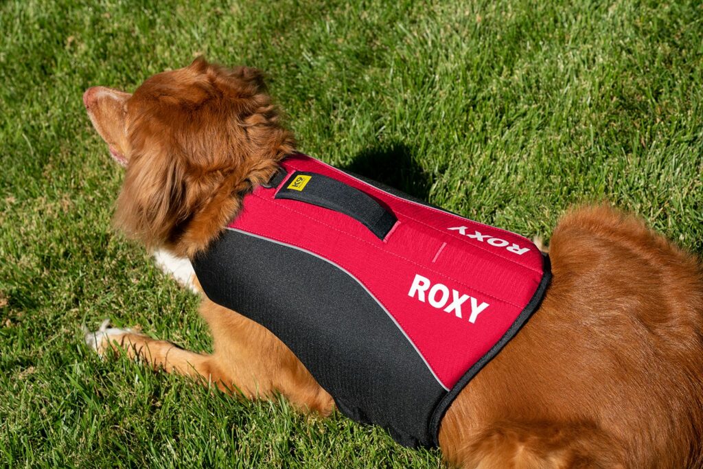 K9 Ballistics dog life jacket