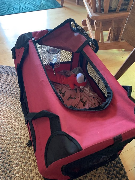 Pet carrier with DIY water bottle
