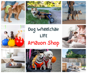 Dog Wheelchair LIFE Amazon Shop