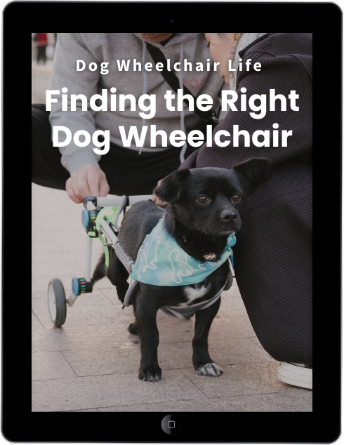 Quads Dog Wheelchairs - Eddie's Wheels for Pets - The Pet Mobility Experts