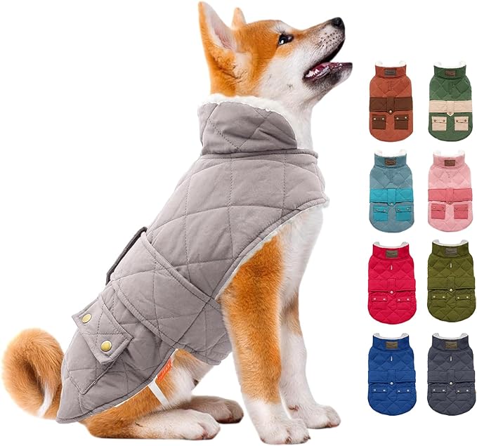 Winter coat for dogs