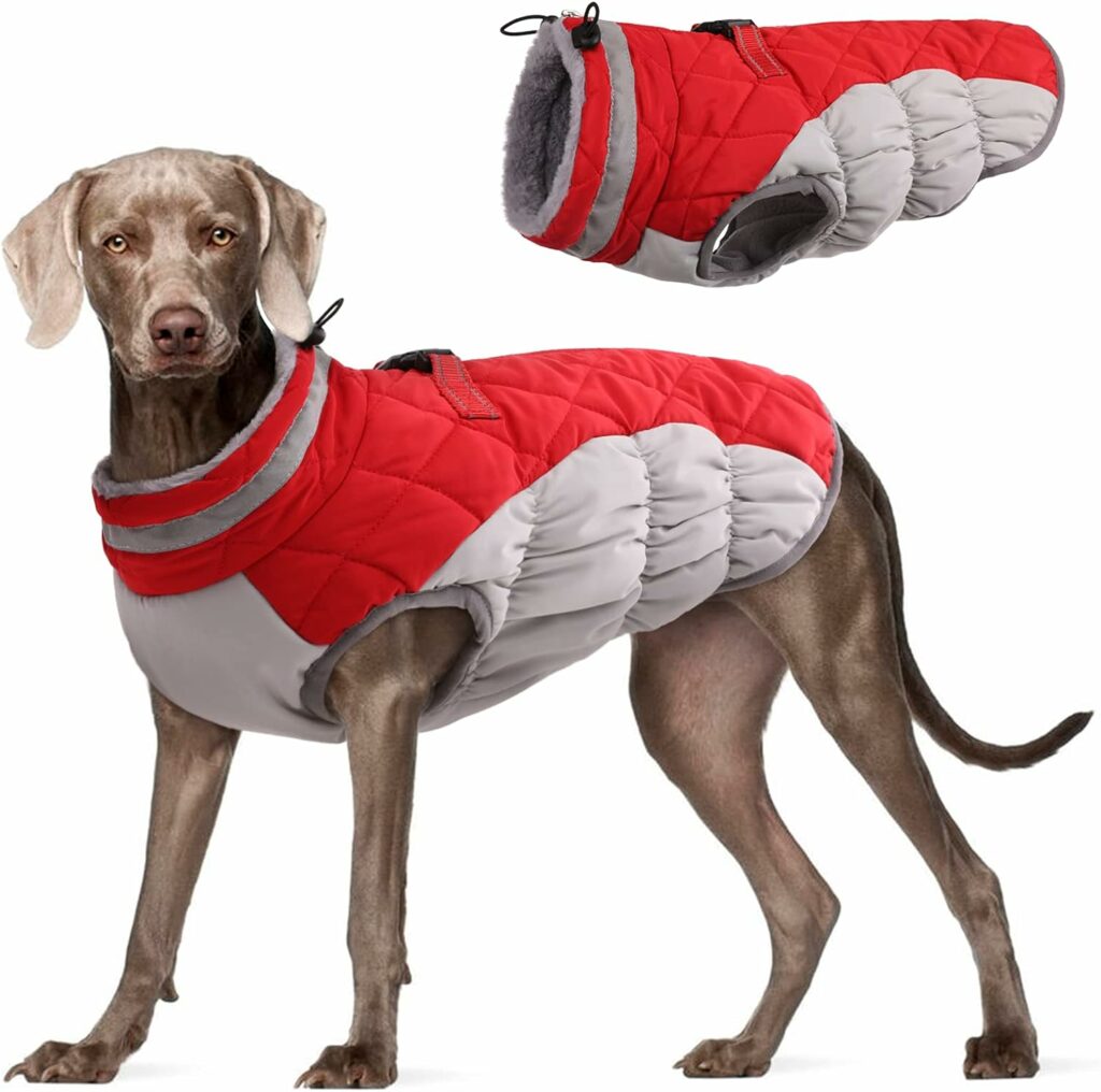 Insulated winter coat for dogs
