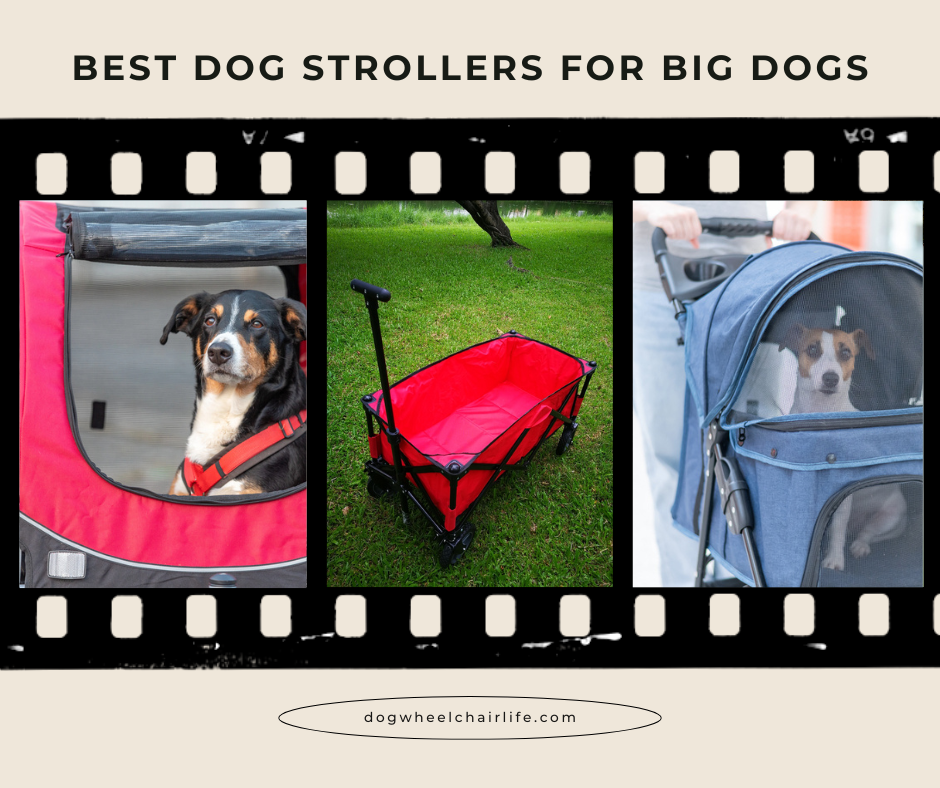 Examples of best dog strollers for big dogs
